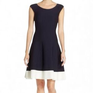 Eliza J Colorblock Black & White Fit-&-Flare Dress 4